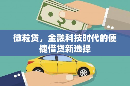 浑源微粒贷，金融科技时代的便捷借贷新选择