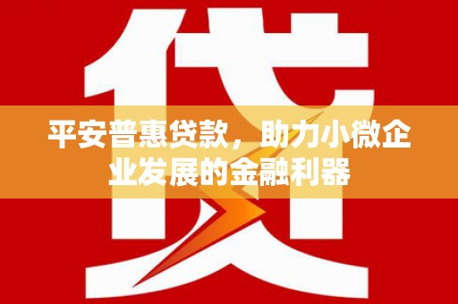 永年平安普惠贷款，助力小微企业发展的金融利器
