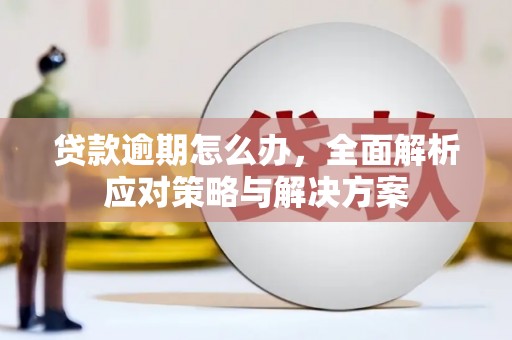 合水贷款逾期怎么办，全面解析应对策略与解决方案