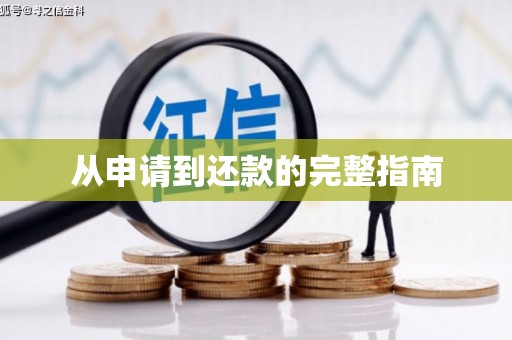 永善从申请到还款的完整指南