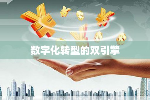 嵊泗数字化转型的双引擎