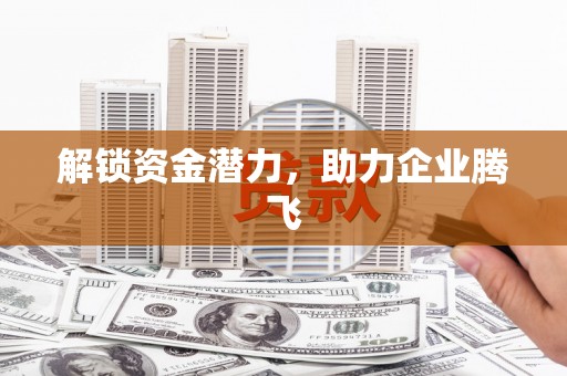 虎林解锁资金潜力，助力企业腾飞