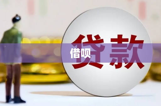 光泽借呗